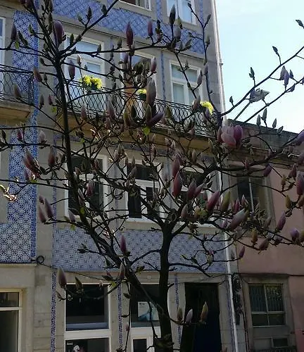 Appartement Chillhouse_porto Oporto