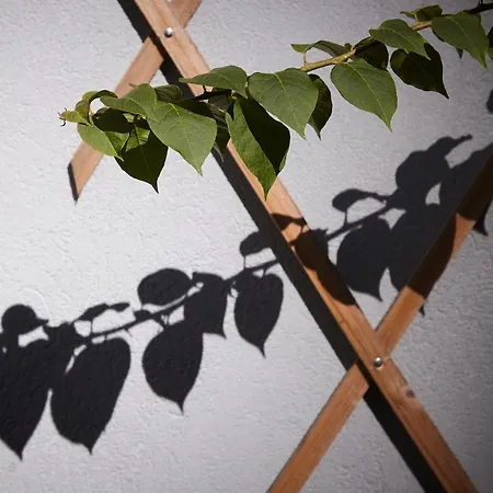 Chillhouse_porto דירה *