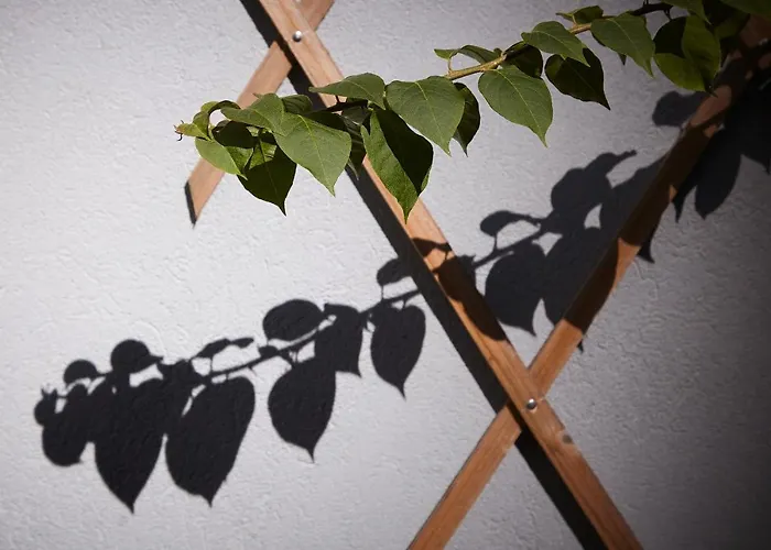 Chillhouse_porto Daire *